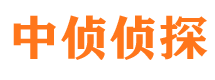 大姚外遇出轨调查取证